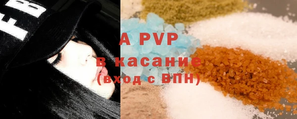 гашик Арсеньев