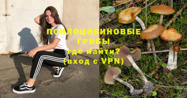 соль ск Армянск