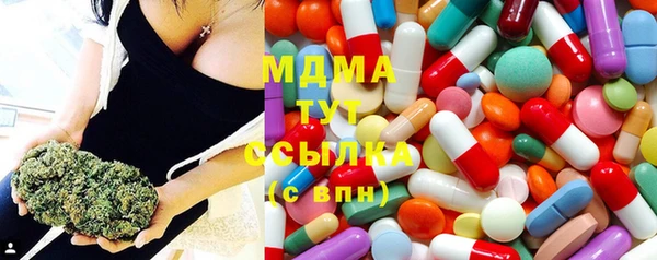 гашик Арсеньев