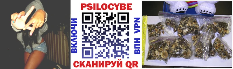 Псилоцибиновые грибы мицелий  Тетюши 